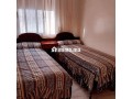4shkk-llaygar-alyomy-fy-shfshaon-small-7