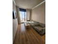 appart-luxueux-meuble-2-ch-a-louer-a-ferme-bretone-small-3