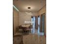 appart-luxueux-meuble-2-ch-a-louer-a-ferme-bretone-small-5