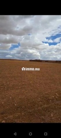 سديرات جماعة اسبيعات اليوسوفية - Vente Immobilier - Youssoufia - photo 2