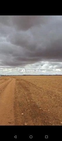سديرات جماعة اسبيعات اليوسوفية - Vente Immobilier - Youssoufia - photo 3