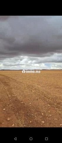 سديرات جماعة اسبيعات اليوسوفية - Vente Immobilier - Youssoufia - photo 4