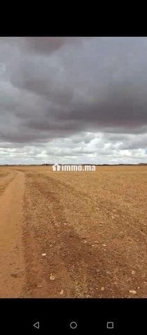 سديرات جماعة اسبيعات اليوسوفية - Vente Immobilier - Youssoufia - photo 6