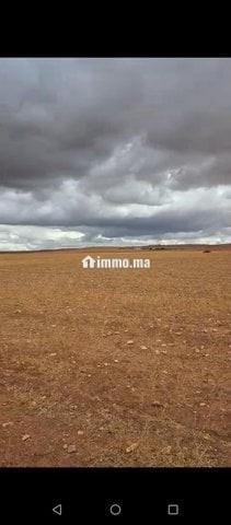 سديرات جماعة اسبيعات اليوسوفية - Vente Immobilier - Youssoufia - photo 7