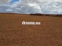 سديرات جماعة اسبيعات اليوسوفية - Terrain à vendre - Youssoufia