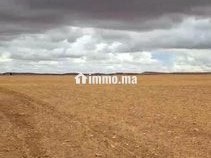 سديرات جماعة اسبيعات اليوسوفية - Terrain à vendre - Youssoufia