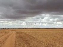 سديرات جماعة اسبيعات اليوسوفية - Terrain à vendre - Youssoufia
