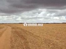 سديرات جماعة اسبيعات اليوسوفية - Terrain à vendre - Youssoufia