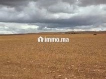 سديرات جماعة اسبيعات اليوسوفية - Terrain à vendre - Youssoufia