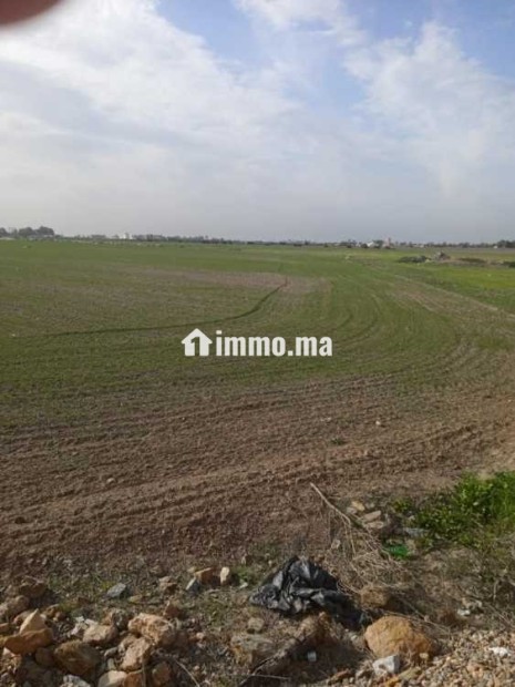 Terrain agricole à vendre à Bouznika - Vente Immobilier - Bouznika - photo 1