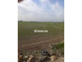 terrain-agricole-a-vendre-a-bouznika-small-0