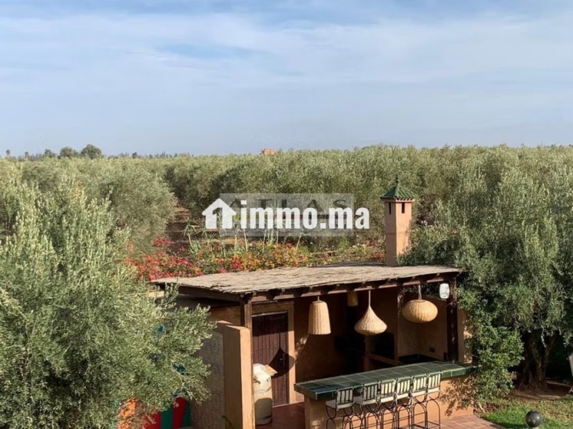 Villa contemporaine de charme au cœur des oliviers - Vente Immobilier - Marrakech - photo 1
