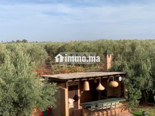 villa-contemporaine-de-charme-au-coeur-des-oliviers