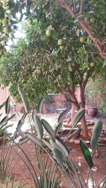 Hotel PARTICULIER / BIJOU architectural / PAS cher - Vente Immobilier - Marrakech - photo 4