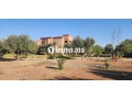 palais-mauresque-km10-maison-d-hotes-possible-small-11