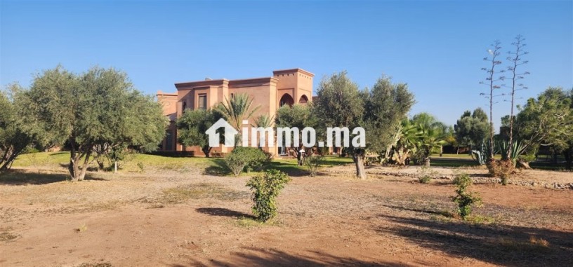 palais-mauresque-km10-maison-d-hotes-possible-big-11