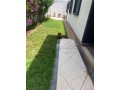 propriete-a-louer-a-oasis-2-belles-chambres-espace-vert-small-3