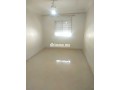 shk-llkraaa-bgnan-alzyton-almhmdy-small-1