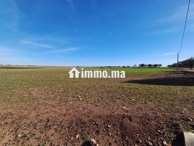 A vendre Terrain rout sabt gzola - Vente Immobilier - Safi - photo 1