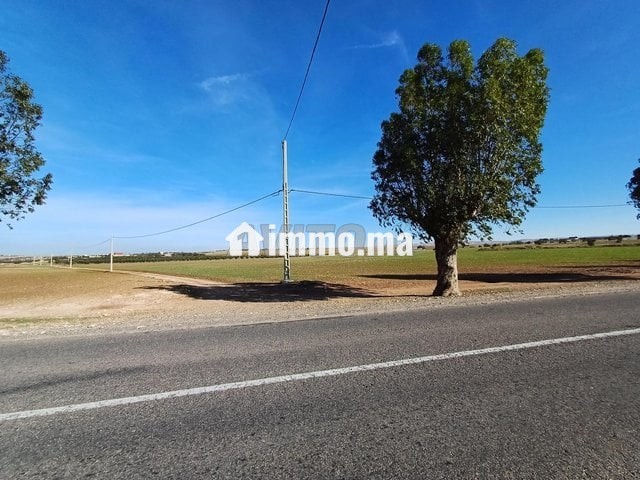 A vendre Terrain rout sabt gzola - Vente Immobilier - Safi - photo 4