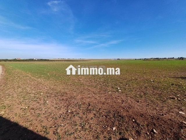 A vendre Terrain rout sabt gzola - Vente Immobilier - Safi - photo 5