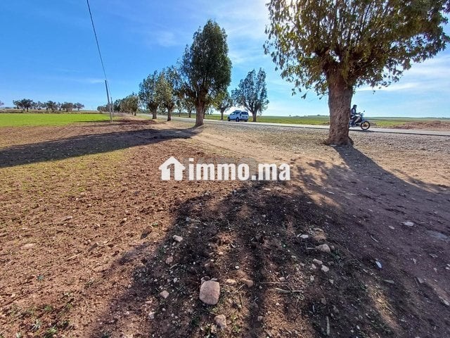 A vendre Terrain rout sabt gzola - Vente Immobilier - Safi - photo 6