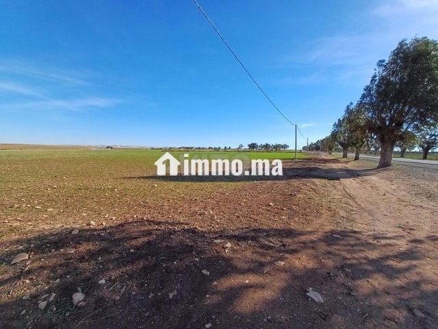 A vendre Terrain rout sabt gzola - Vente Immobilier - Safi - photo 8