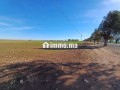 a-vendre-terrain-rout-sabt-gzola-small-7