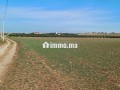 a-vendre-terrain-rout-sabt-gzola-small-8