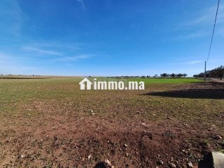a-vendre-terrain-rout-sabt-gzola
