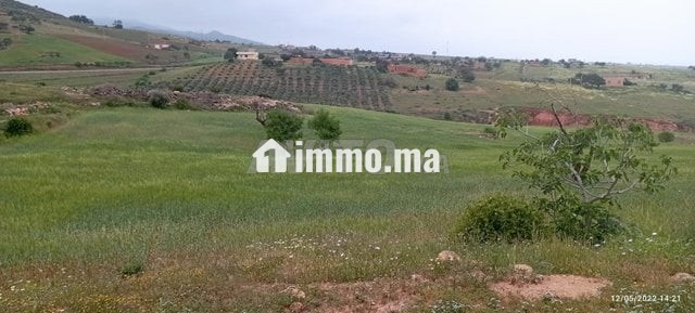 أرض محفظة للبيع - Vente Immobilier - Nador - photo 2
