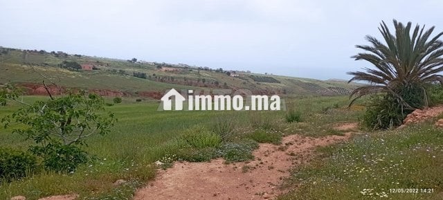 أرض محفظة للبيع - Vente Immobilier - Nador - photo 3