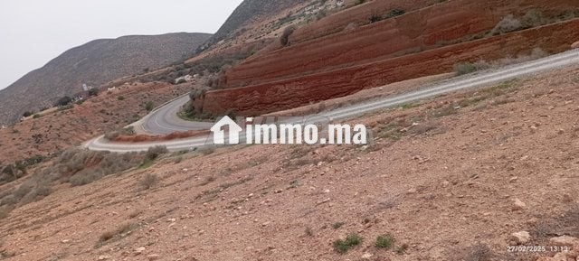 أرض محفظة للبيع - Vente Immobilier - Nador - photo 4