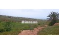 ard-mhfth-llbyaa-small-2
