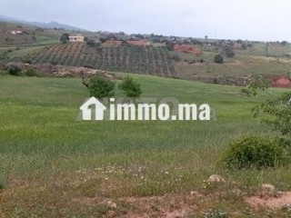 أرض محفظة للبيع - Terrain à vendre - Nador