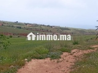 أرض محفظة للبيع - Terrain à vendre - Nador