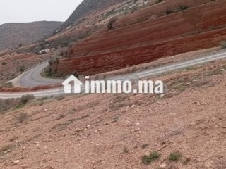 أرض محفظة للبيع - Terrain à vendre - Nador