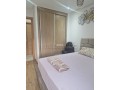 louer-appartement-meuble-a-cote-de-aswak-salam-small-13