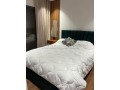 bel-appartement-2-chambres-meuble-cfc-neuf-small-13