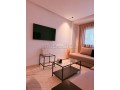 louez-cet-appartement-a-hermitage-1-chambre-meuble-small-2