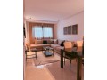 louez-cet-appartement-a-hermitage-1-chambre-meuble-small-3