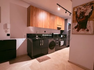 louez-cet-appartement-a-hermitage-1-chambre-meuble