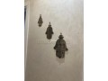 appartements-a-louer-a-chefchaouen-2-belles-chambres-places-de-parking-et-beau-jardin-small-10