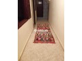 shk-llkraaa-alyomy-bshaty-sydy-alrbat-krb-sydy-osay-small-4