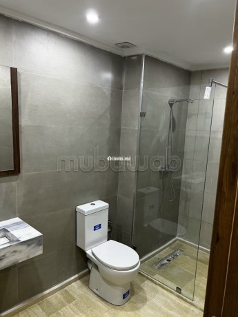 appartement-a-vendre-3-chambres-salon-big-8