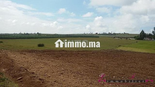 Tnine Chtouka beau terrain à vendre 10000m² - Vente Immobilier - Casablanca - photo 3