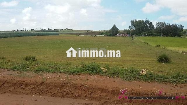 Tnine Chtouka beau terrain à vendre 10000m² - Vente Immobilier - Casablanca - photo 4