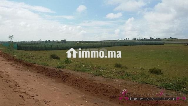 Tnine Chtouka beau terrain à vendre 10000m² - Vente Immobilier - Casablanca - photo 5