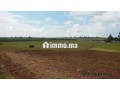 tnine-chtouka-beau-terrain-a-vendre-10000m2-small-2