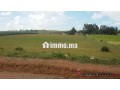 tnine-chtouka-beau-terrain-a-vendre-10000m2-small-3